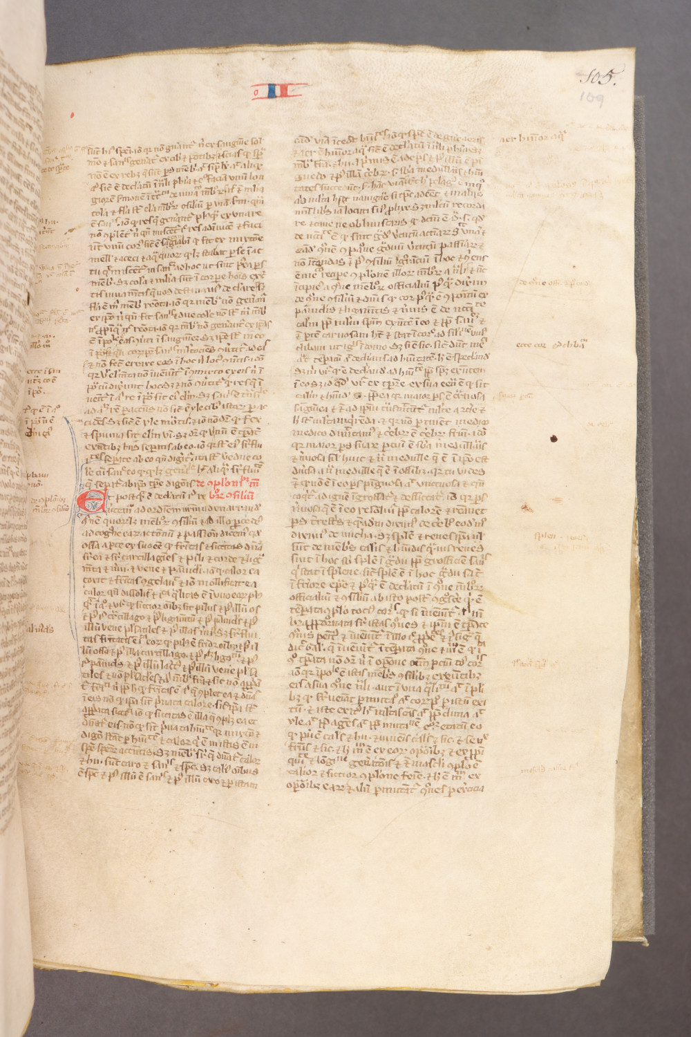 Folio 109  recto