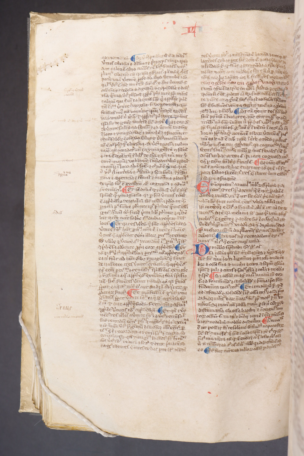 Folio 110  verso