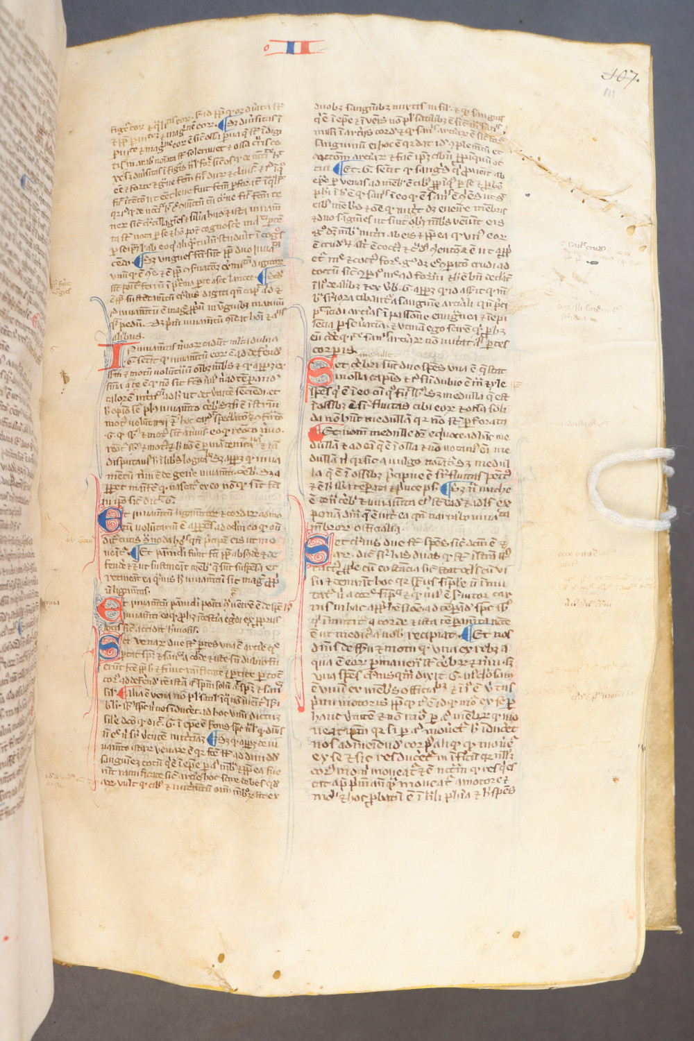 Folio 111  recto
