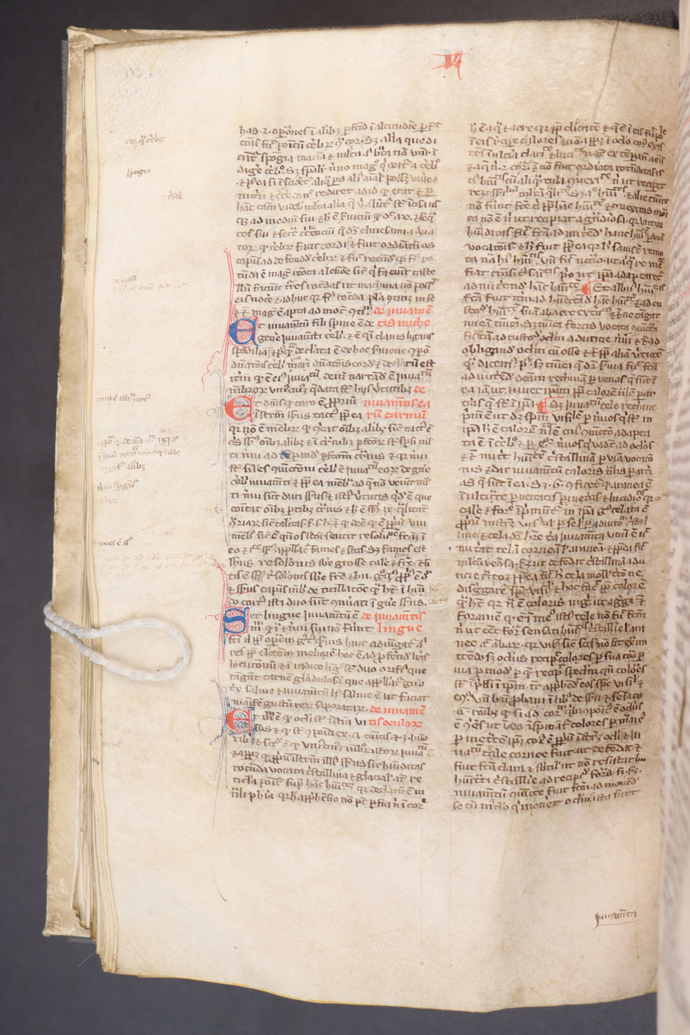 Folio 114  verso