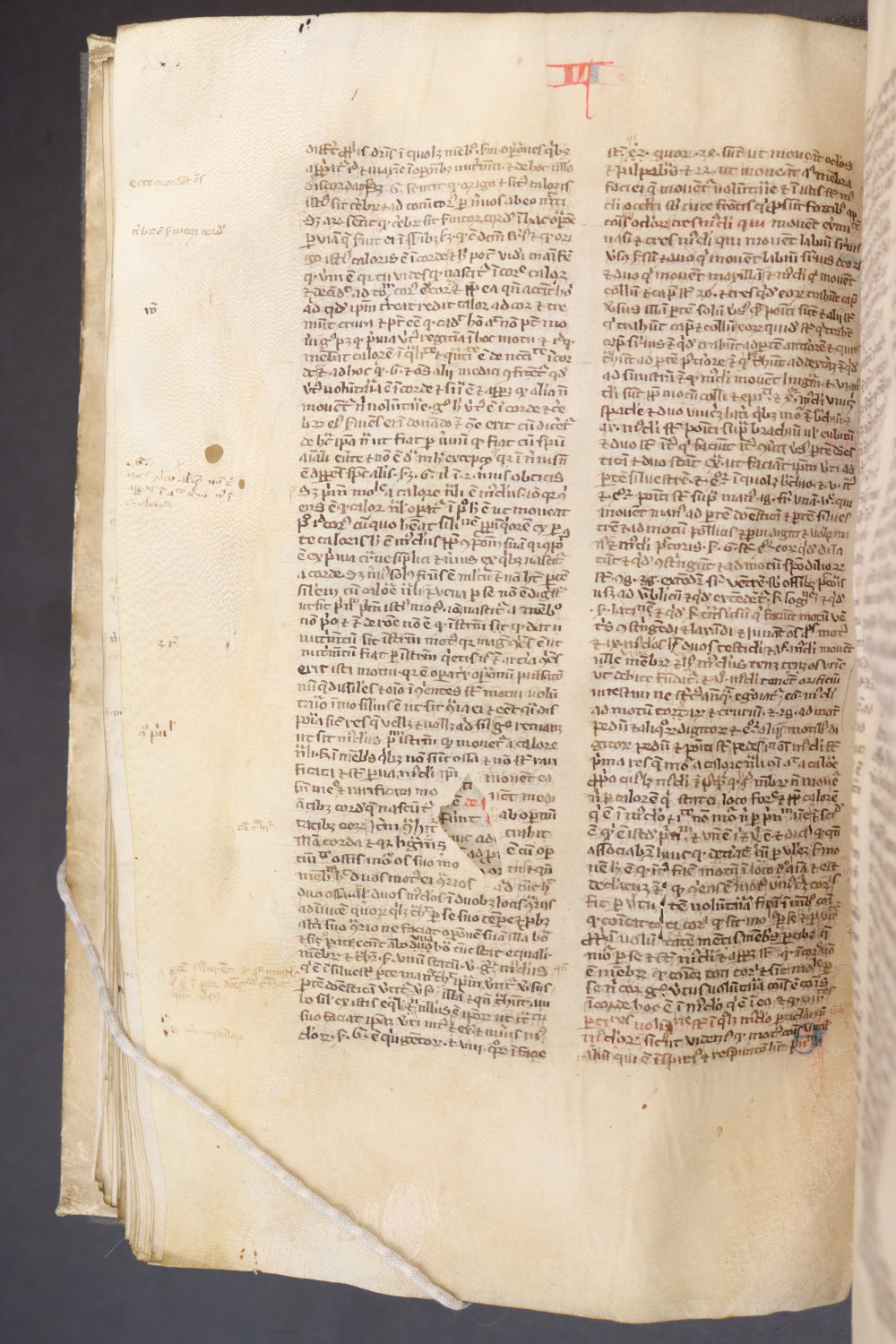 Folio 115  verso