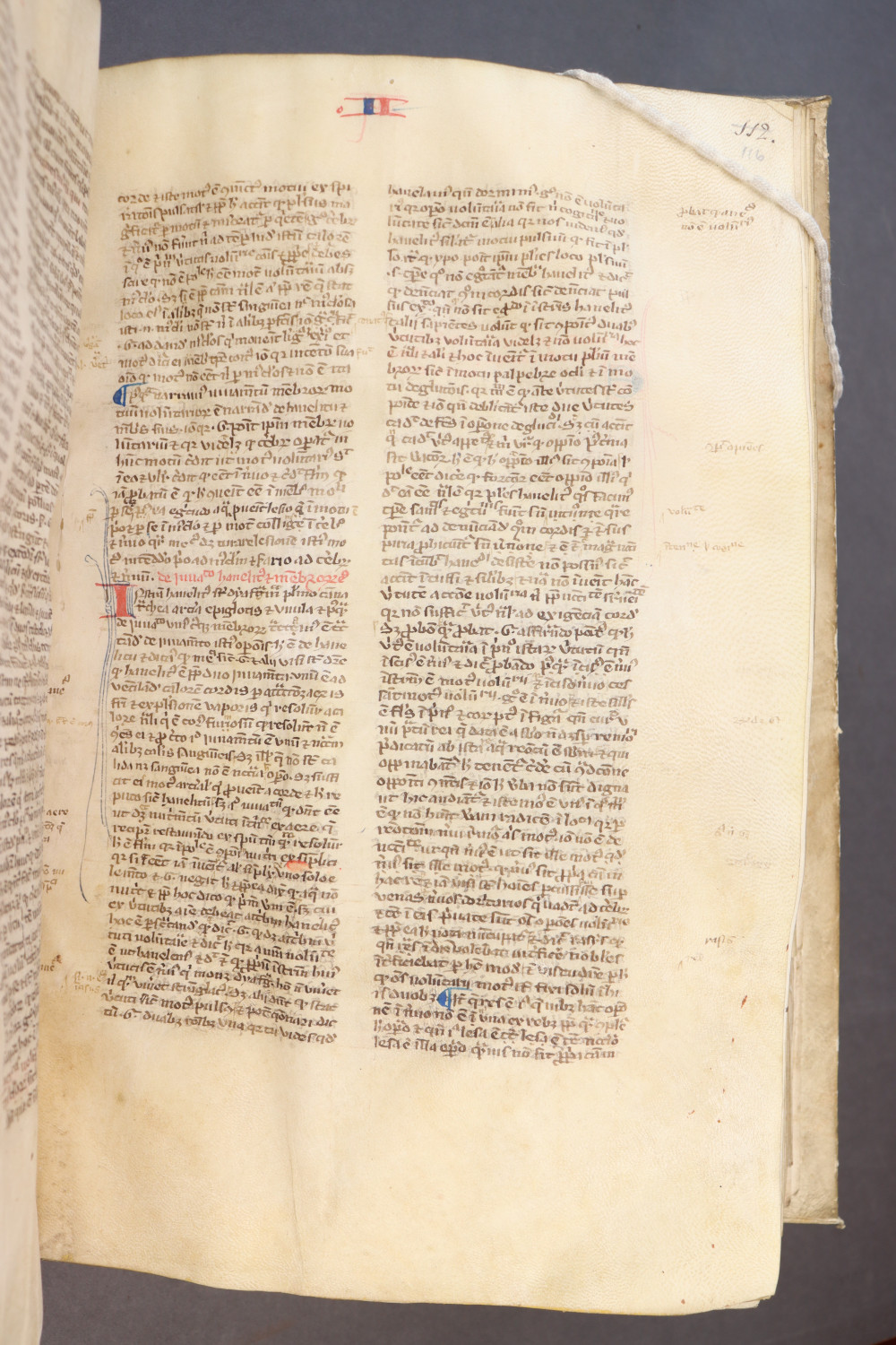 Folio 116  recto