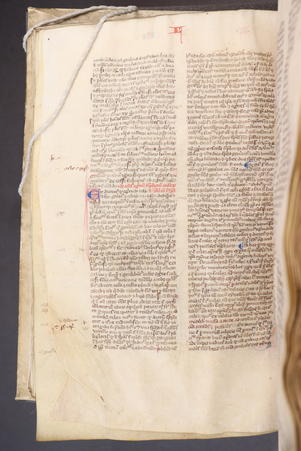 Folio 118  verso