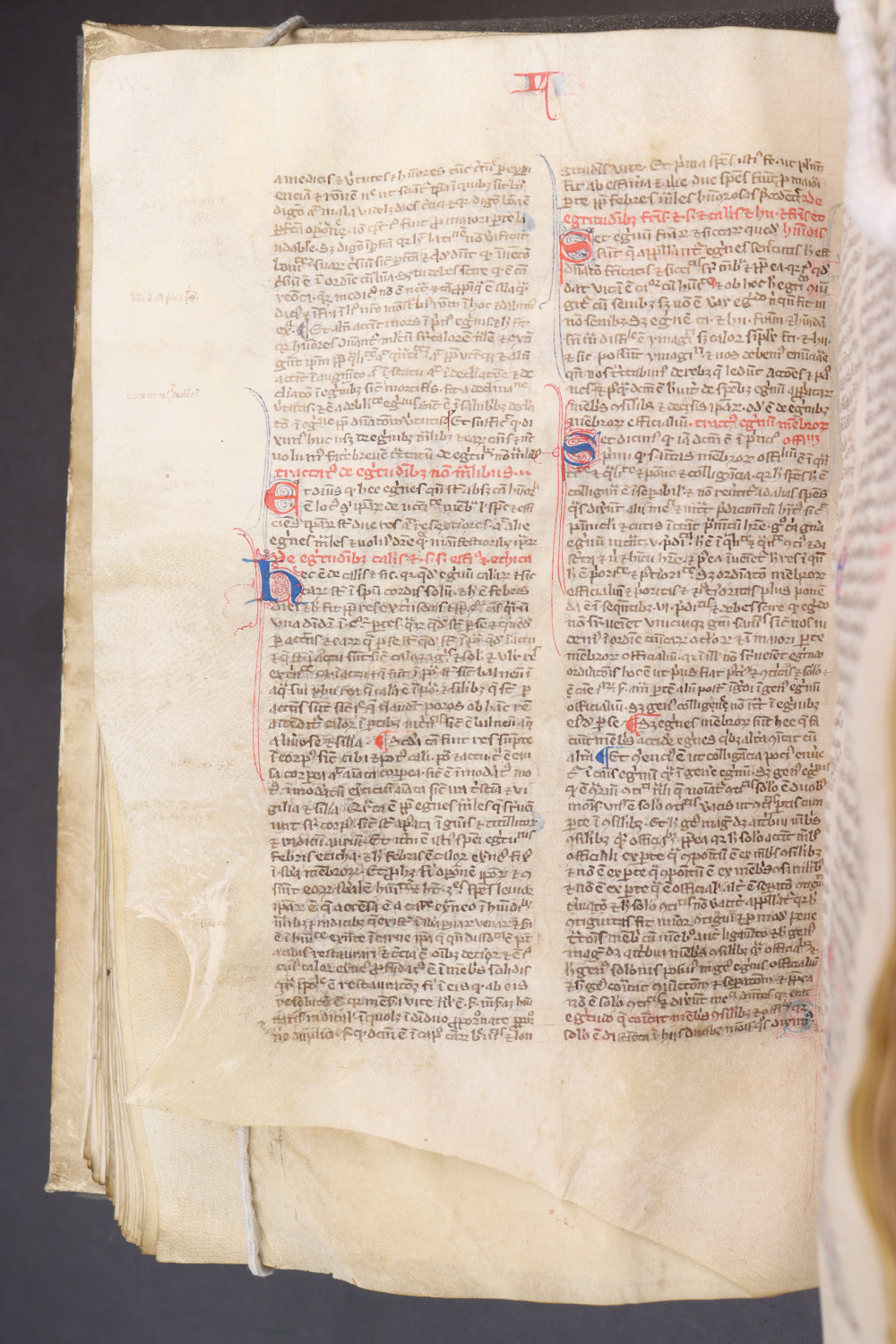 Folio 120  verso