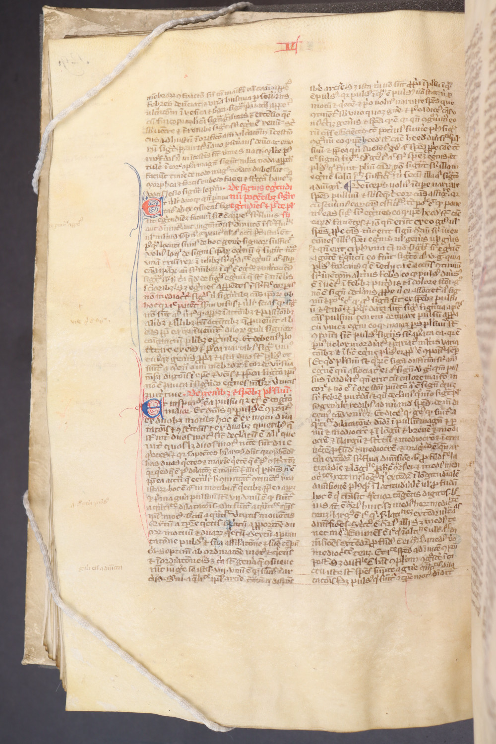 Folio 133  verso