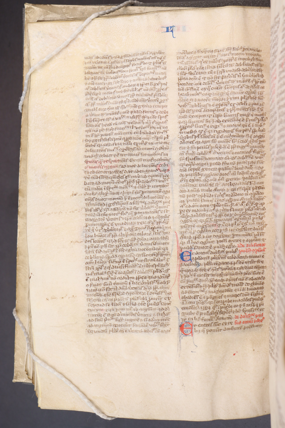 Folio 134  verso