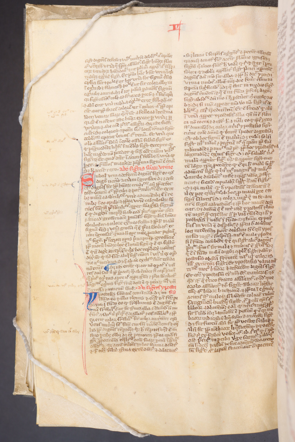 Folio 135  verso