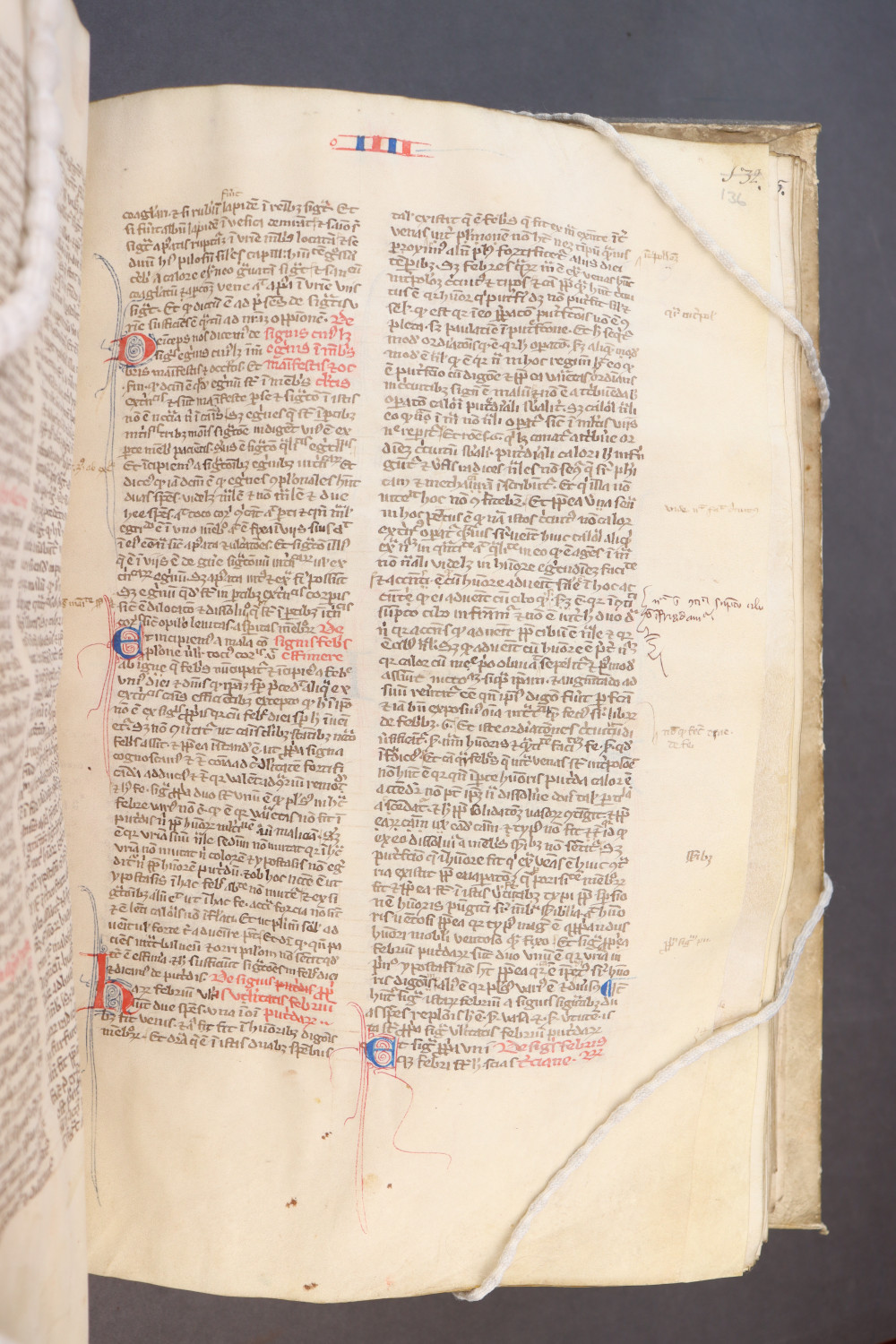 Folio 136  recto