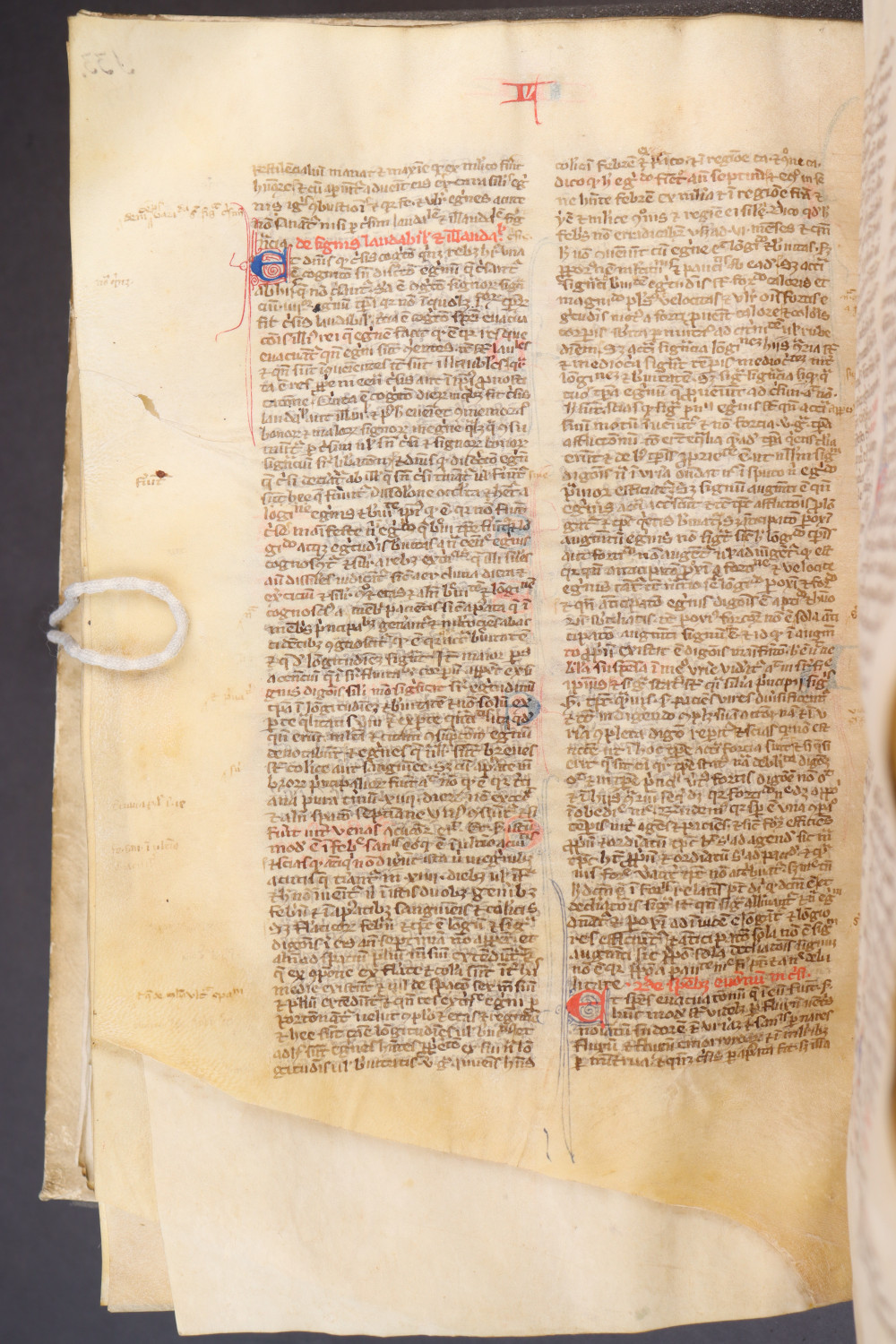 Folio 137  verso
