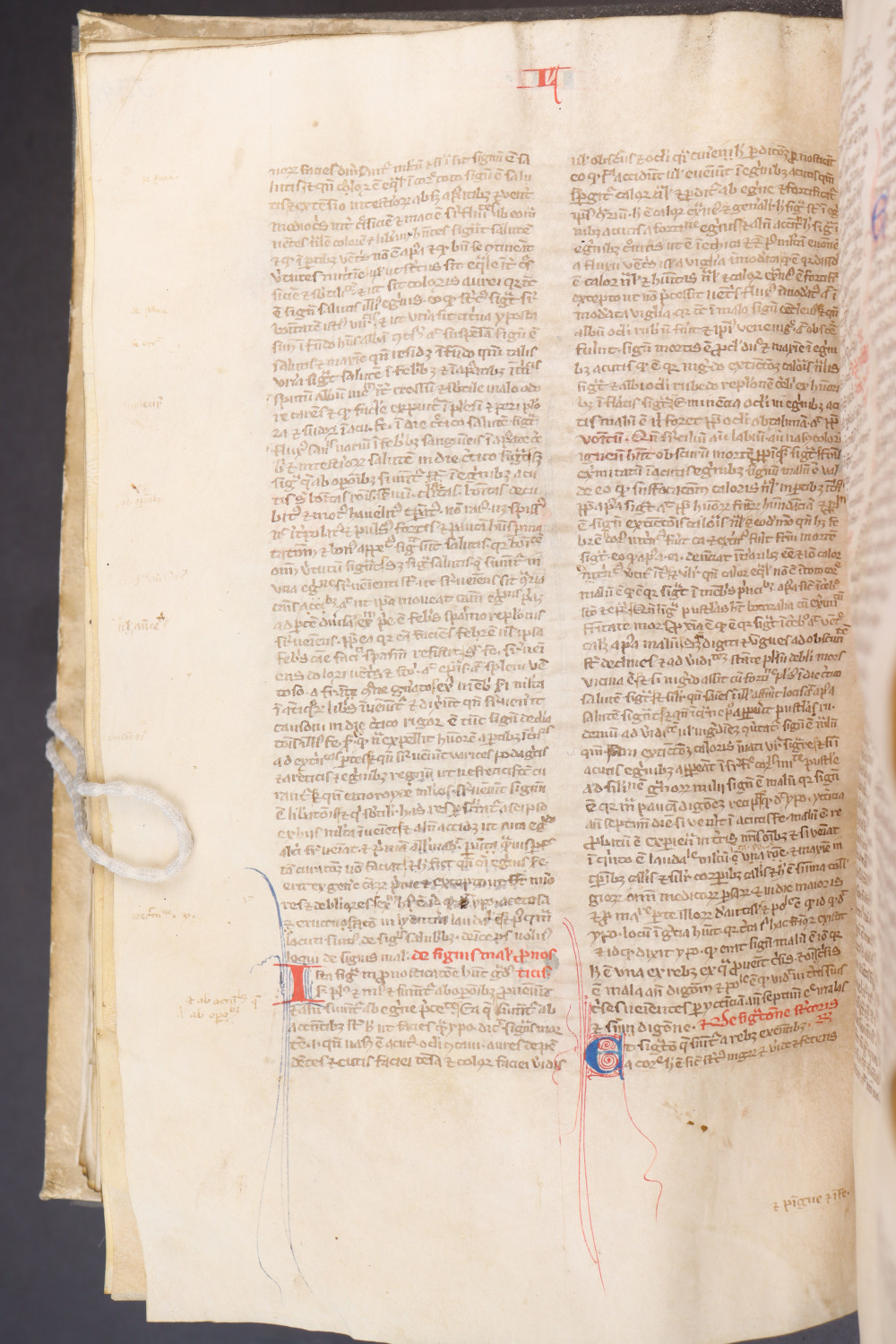 Folio 138  verso