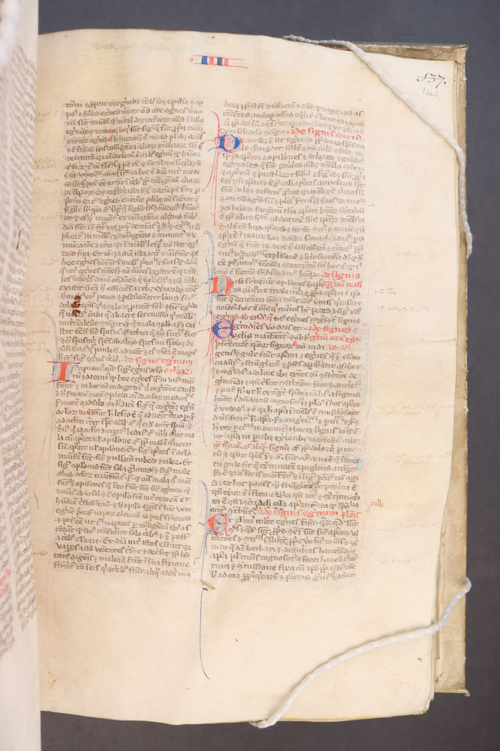 Folio 141  recto