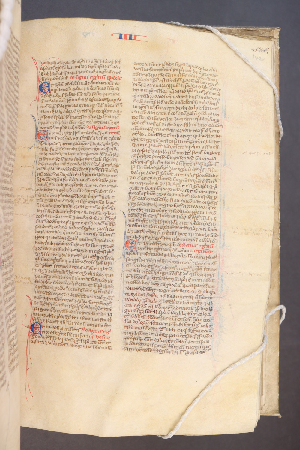 Folio 142  recto