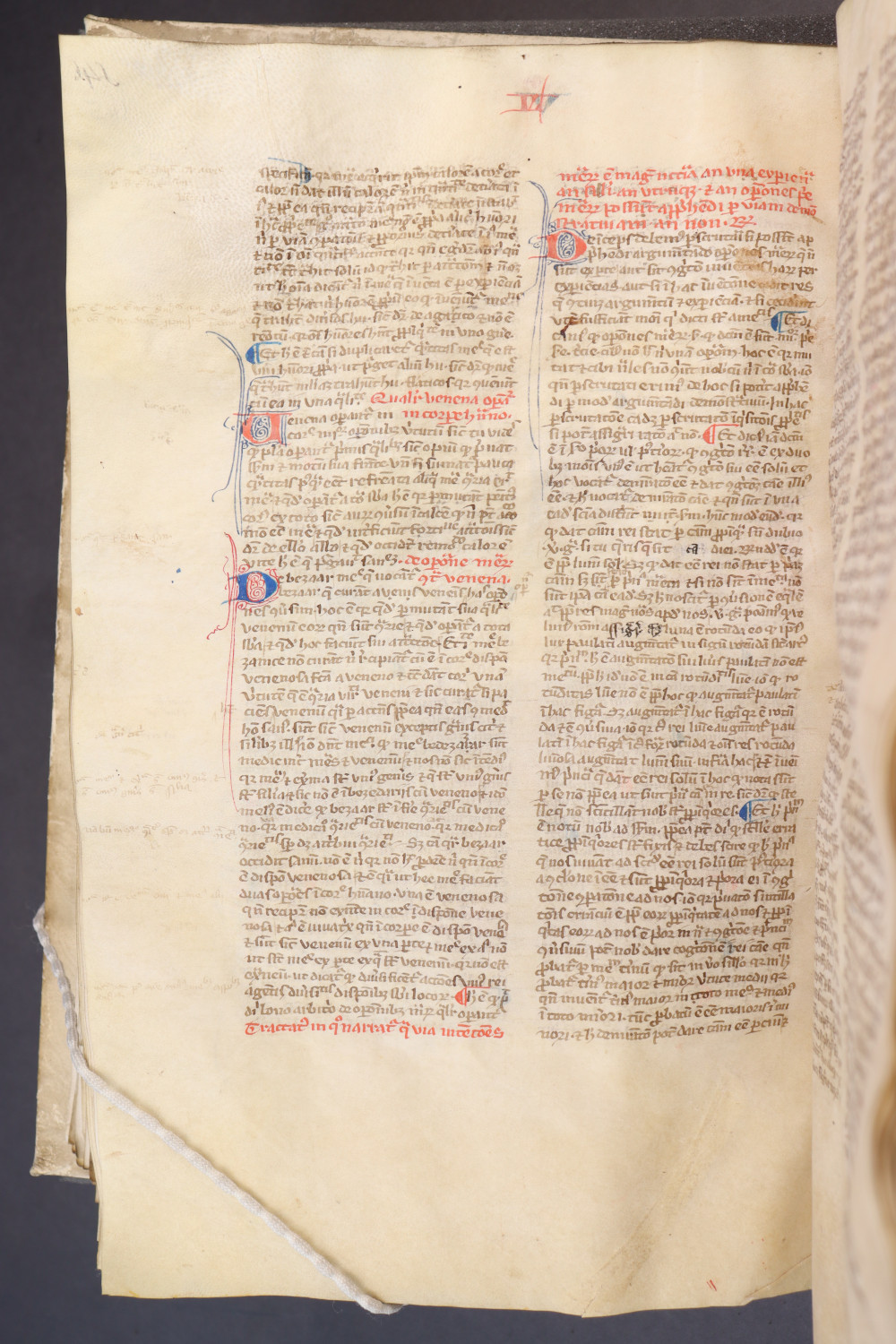 Folio 145  verso