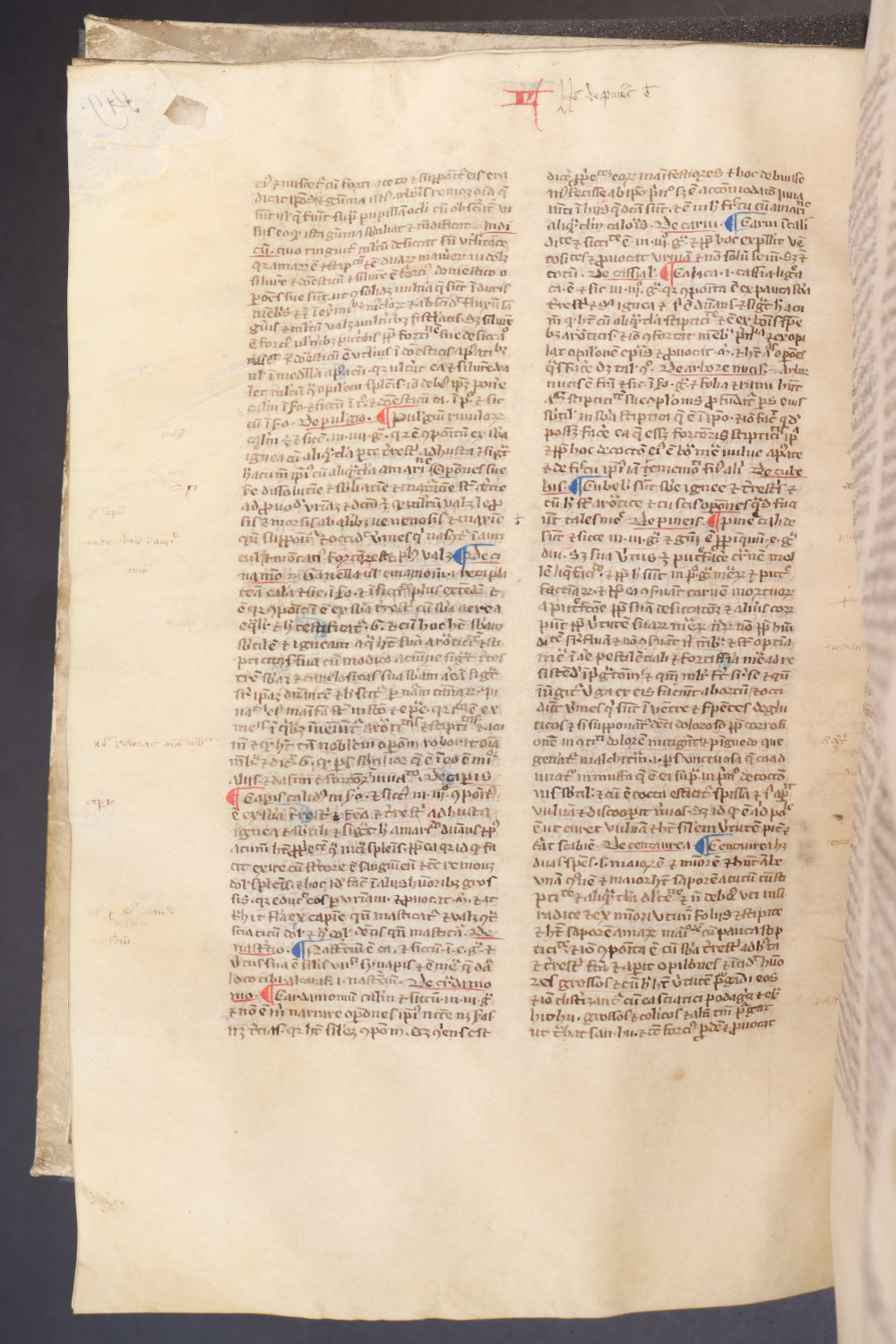 Folio 153  verso