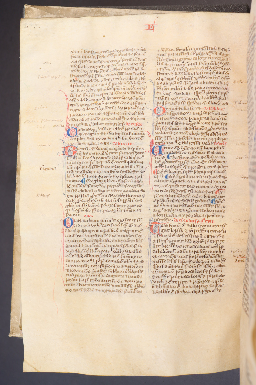 Folio 157  verso