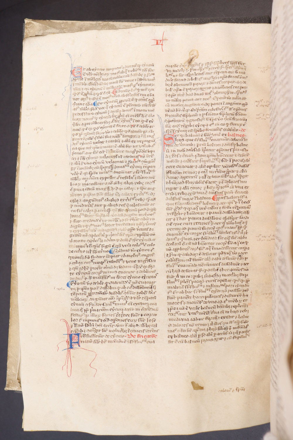 Folio 162  verso