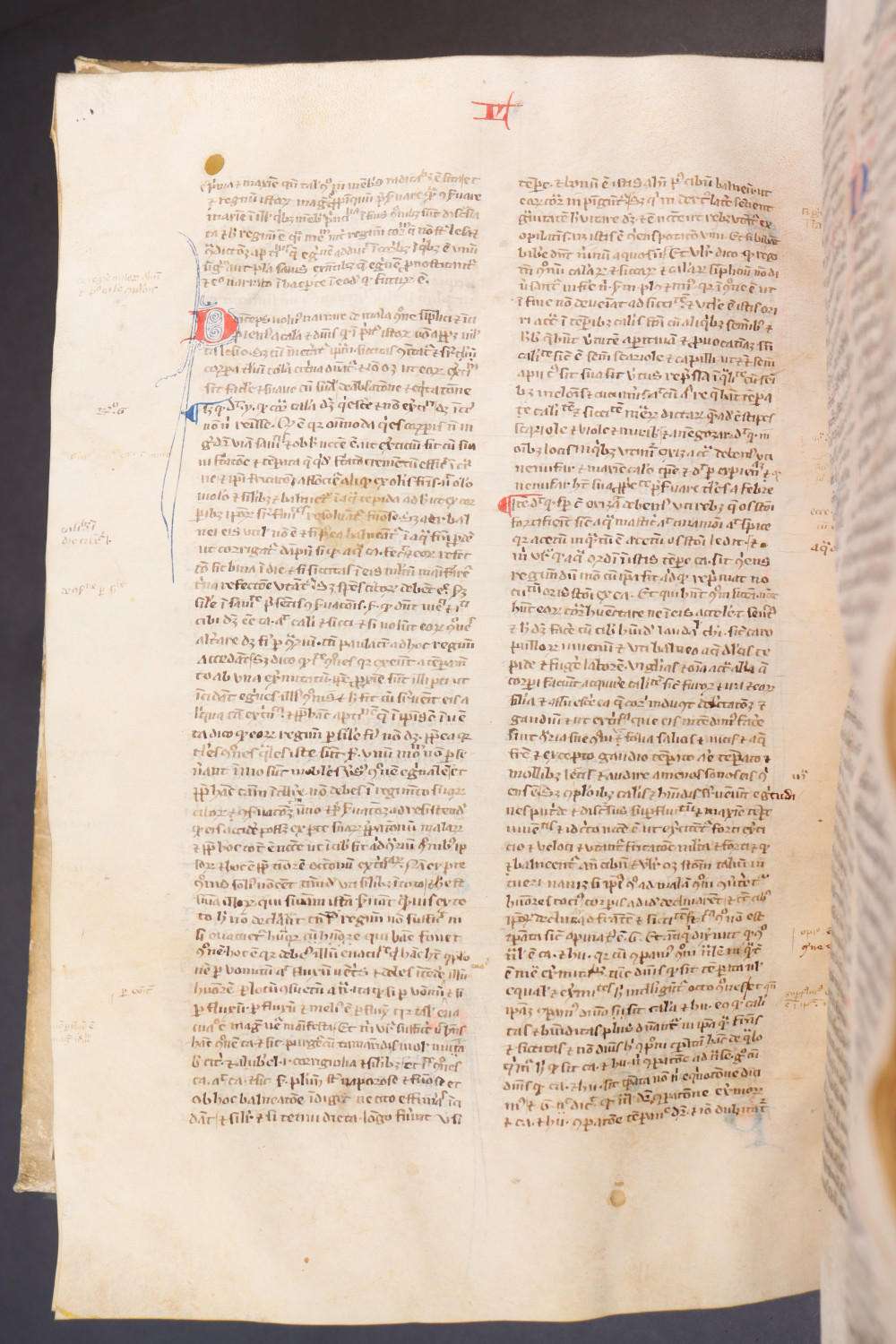 Folio 164  verso