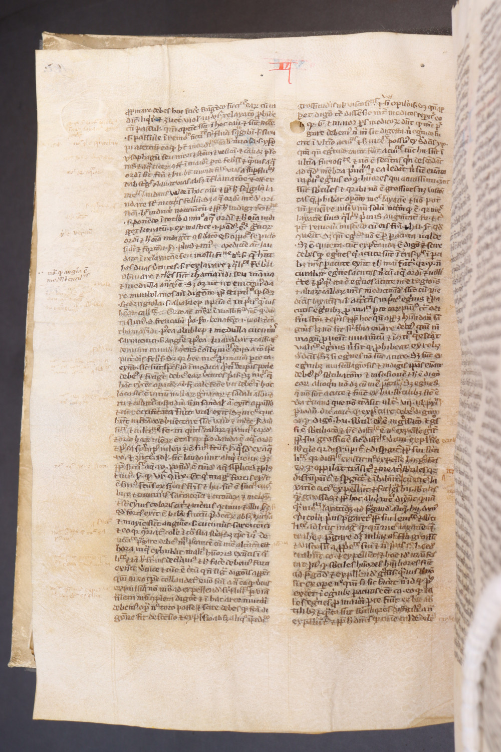 Folio 170  verso
