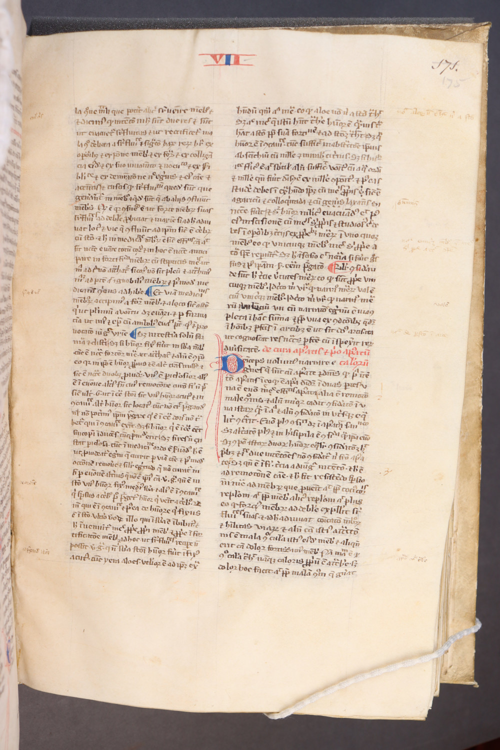 Folio 175  recto