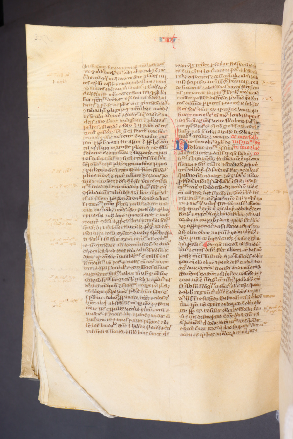 Folio 179  verso