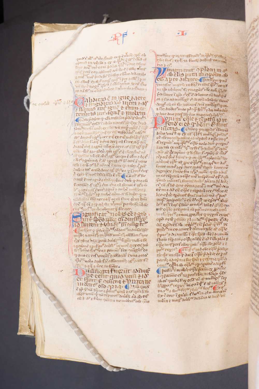 Folio 182  verso