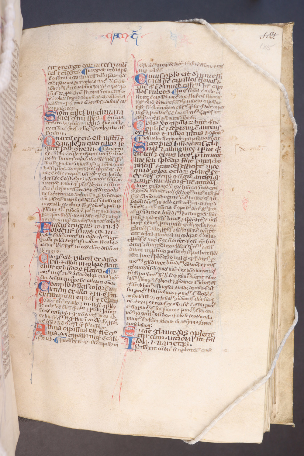 Folio 185  recto