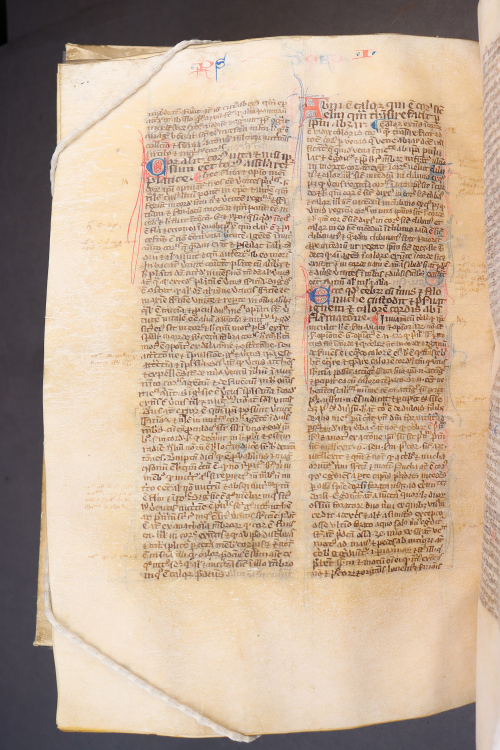 Folio 186  verso
