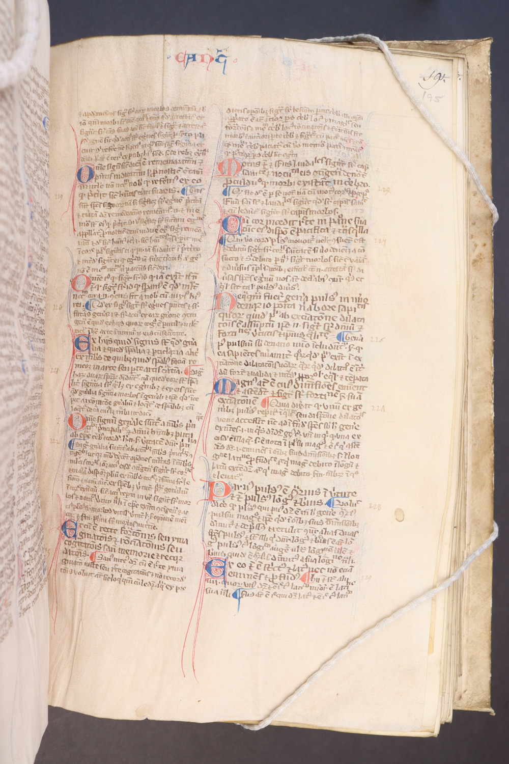 Folio 195  recto