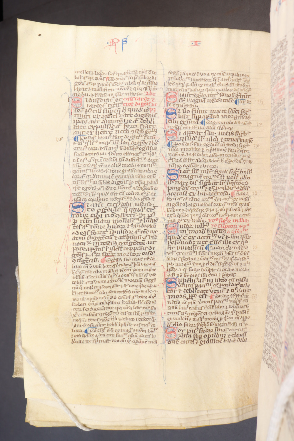 Folio 198  verso