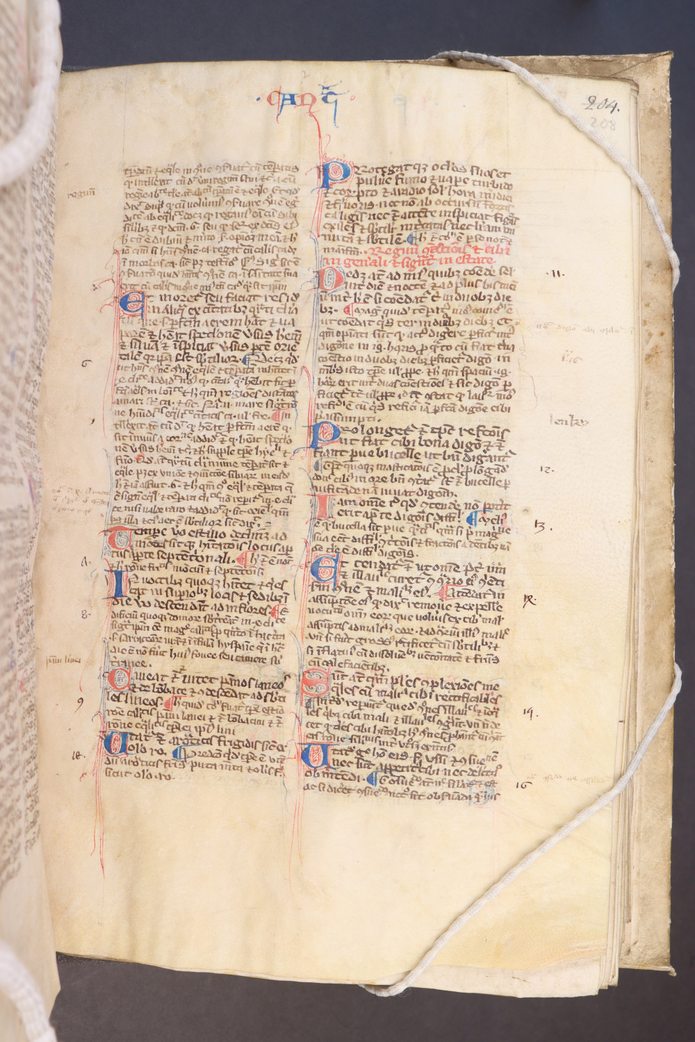 Folio 208  recto