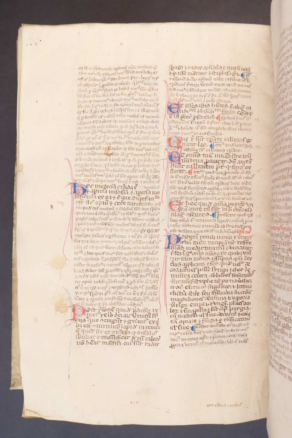 Folio 216  verso