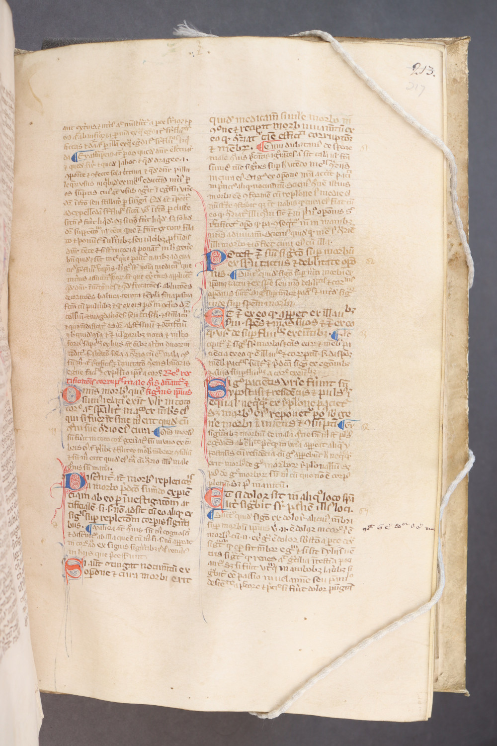 Folio 217  recto