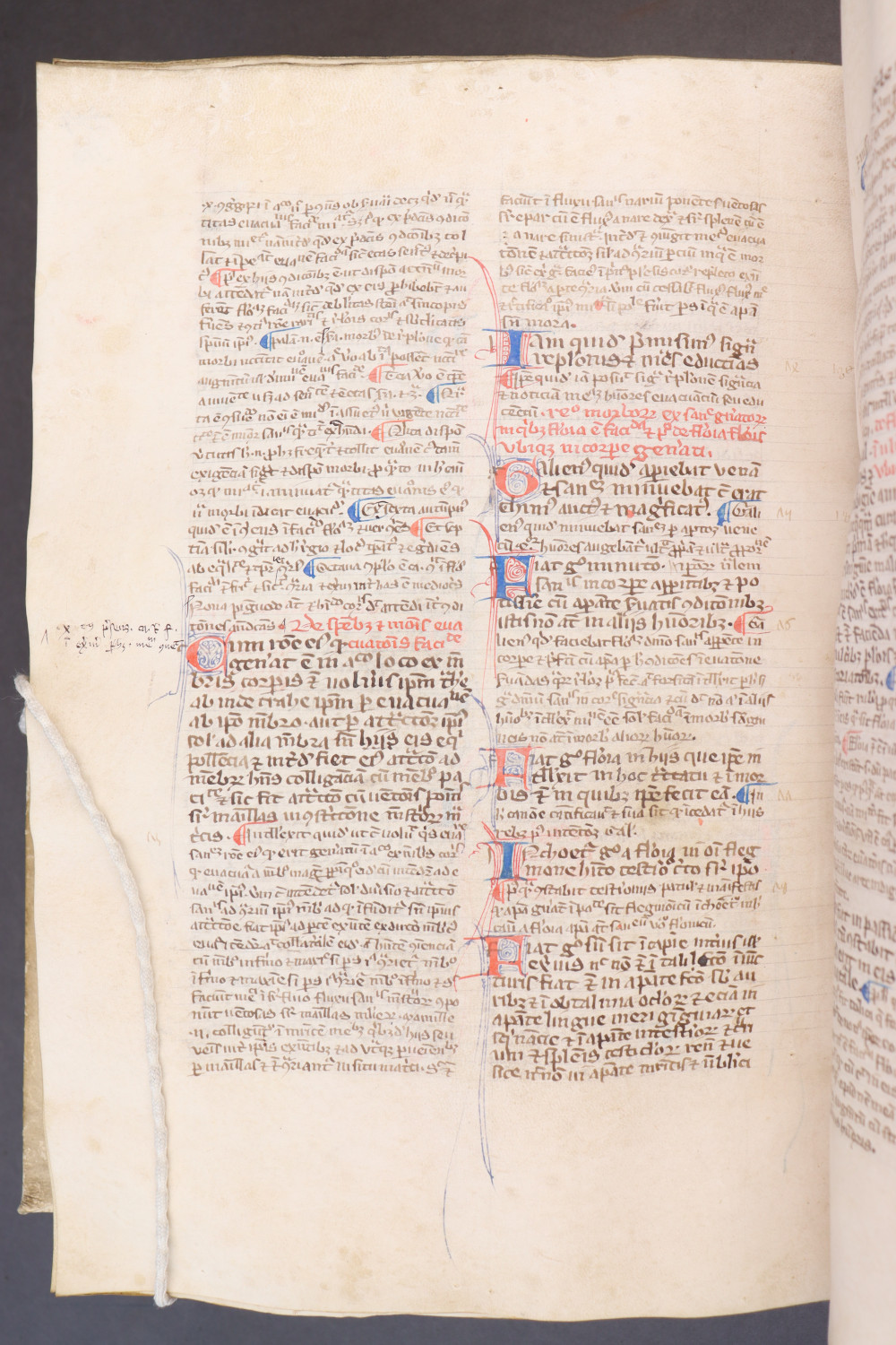 Folio 218  verso