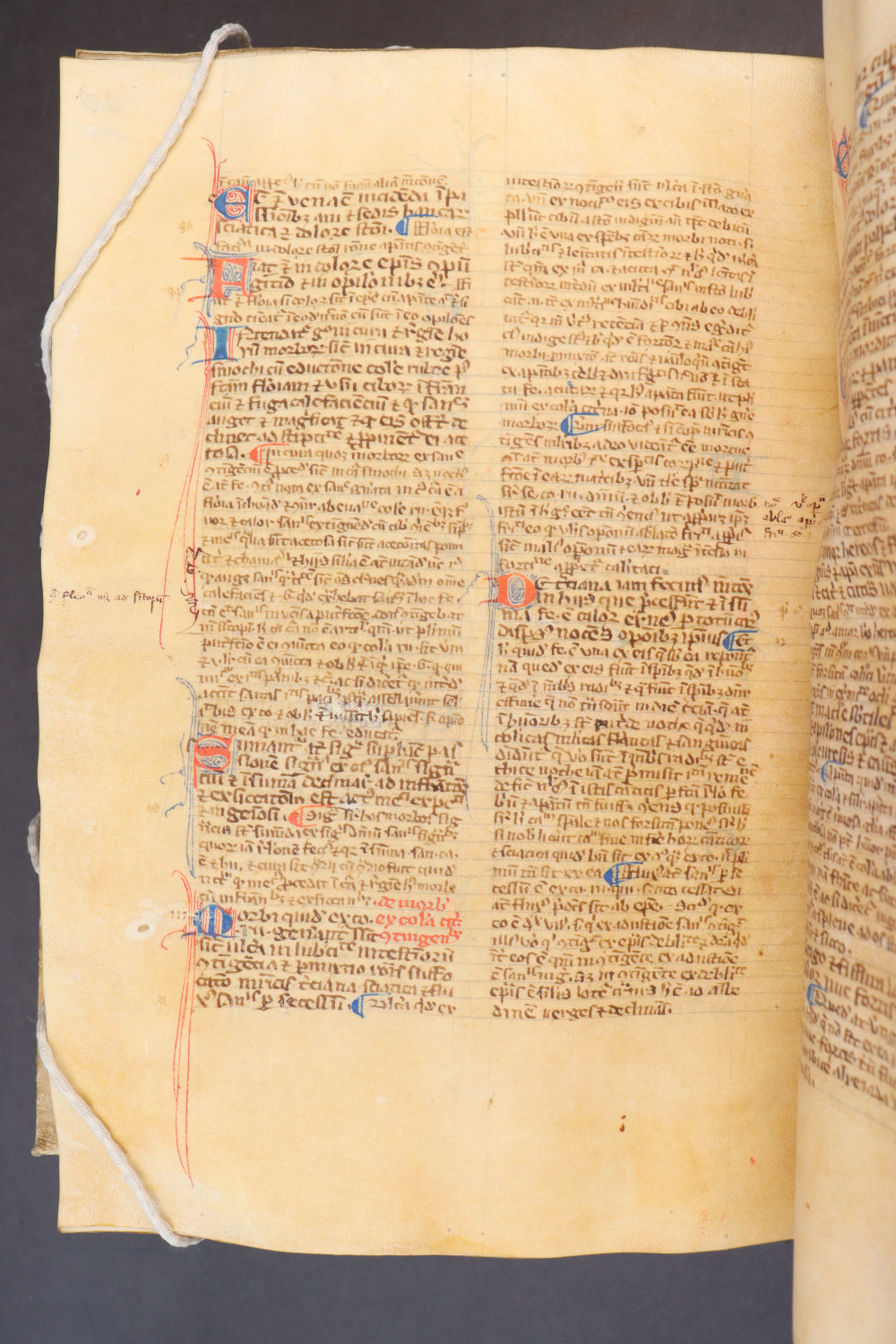 Folio 219  verso