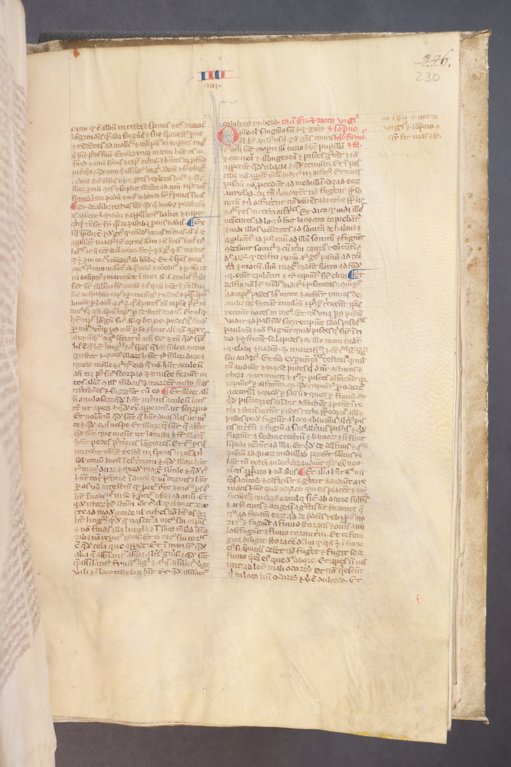 Folio 230  recto