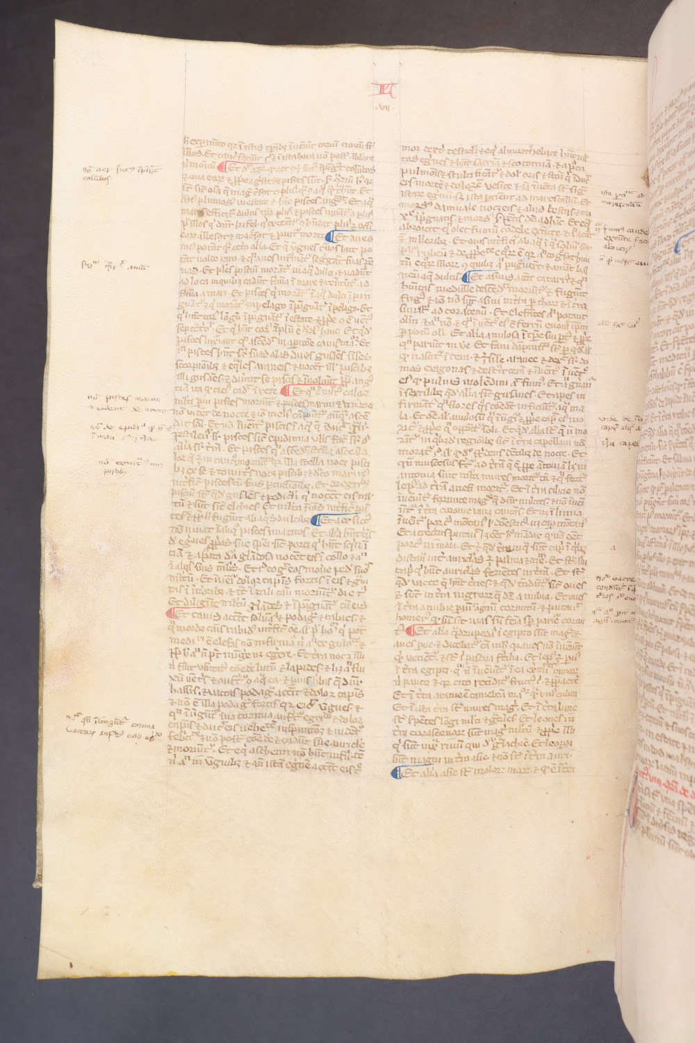 Folio 235  verso