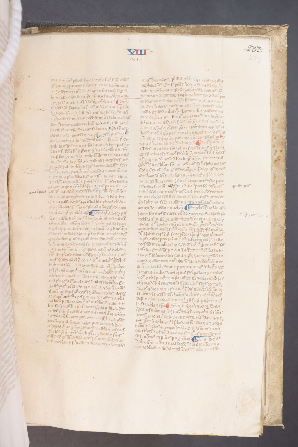 Folio 237  recto