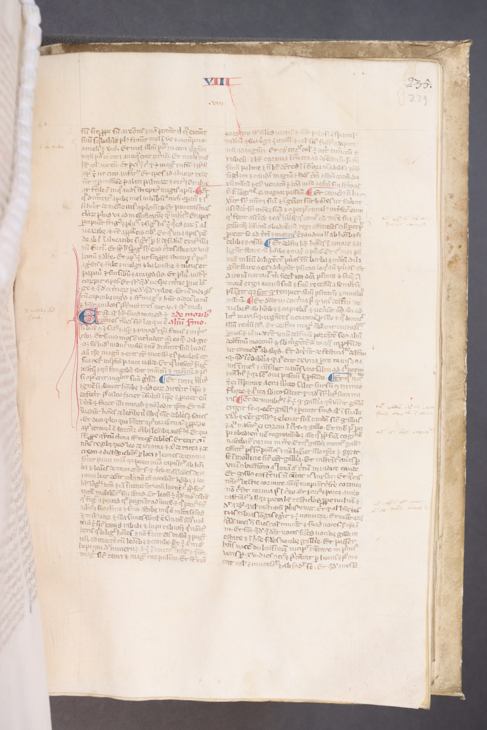 Folio 239  recto