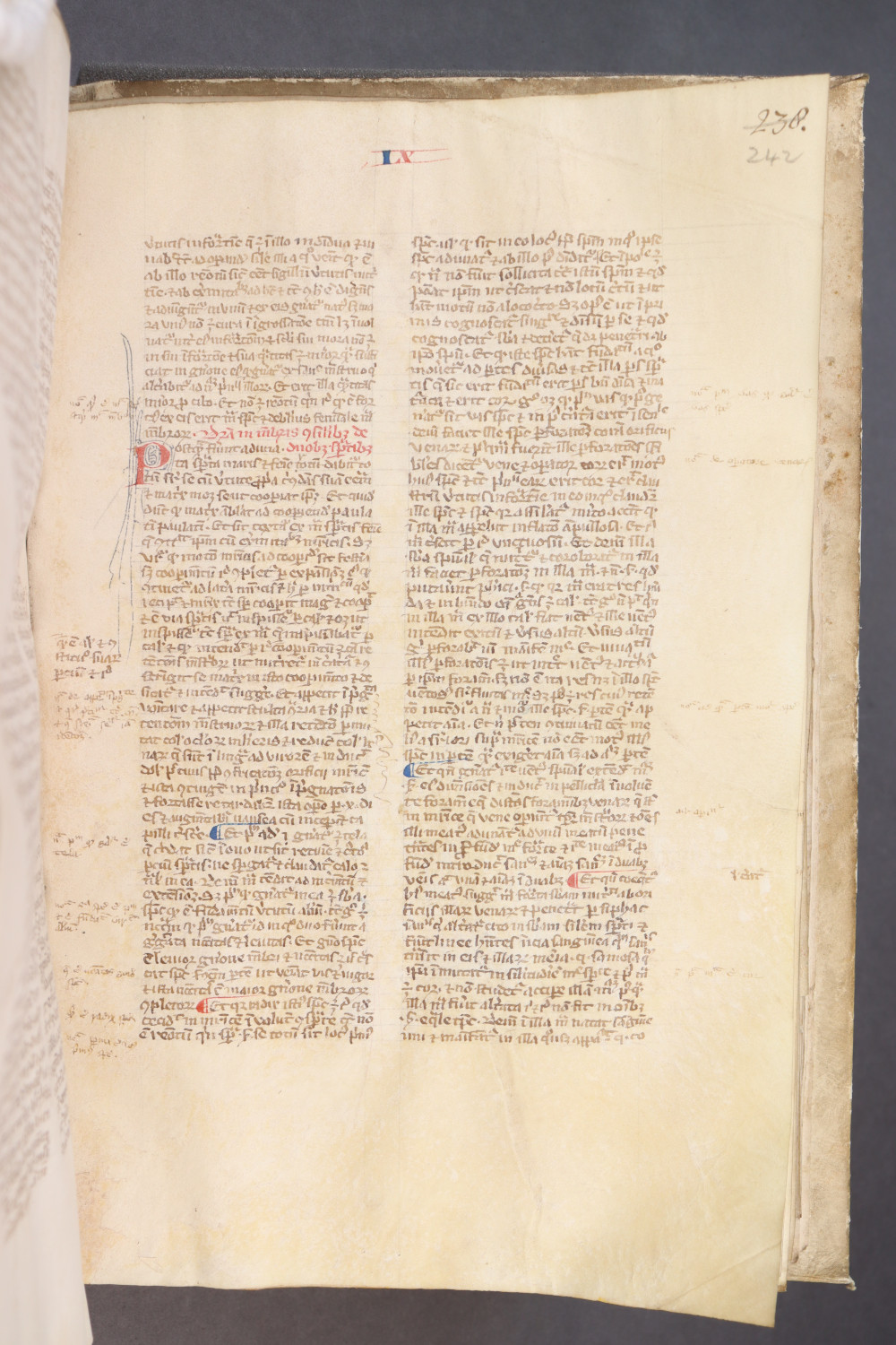Folio 242  recto
