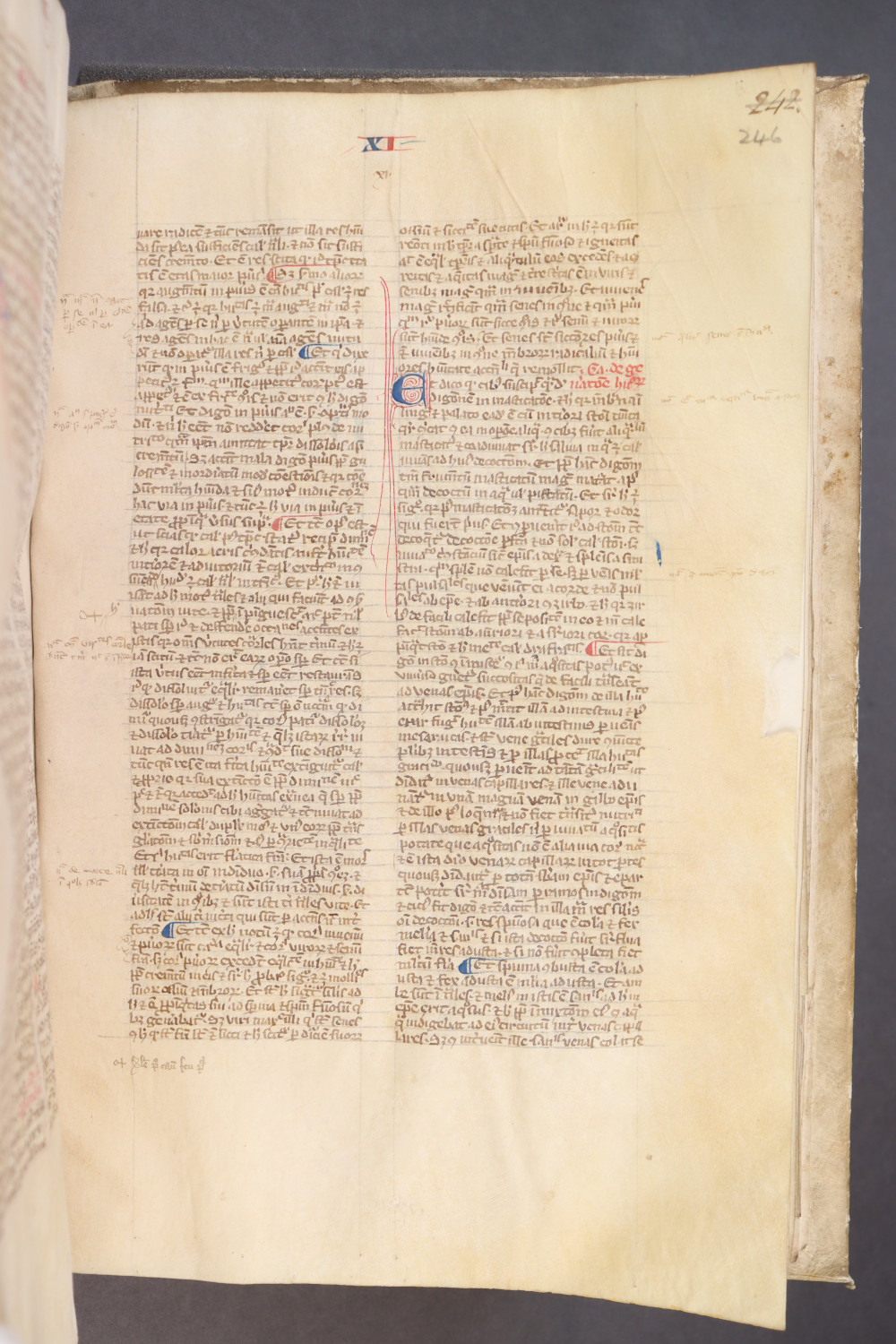 Folio 246  recto