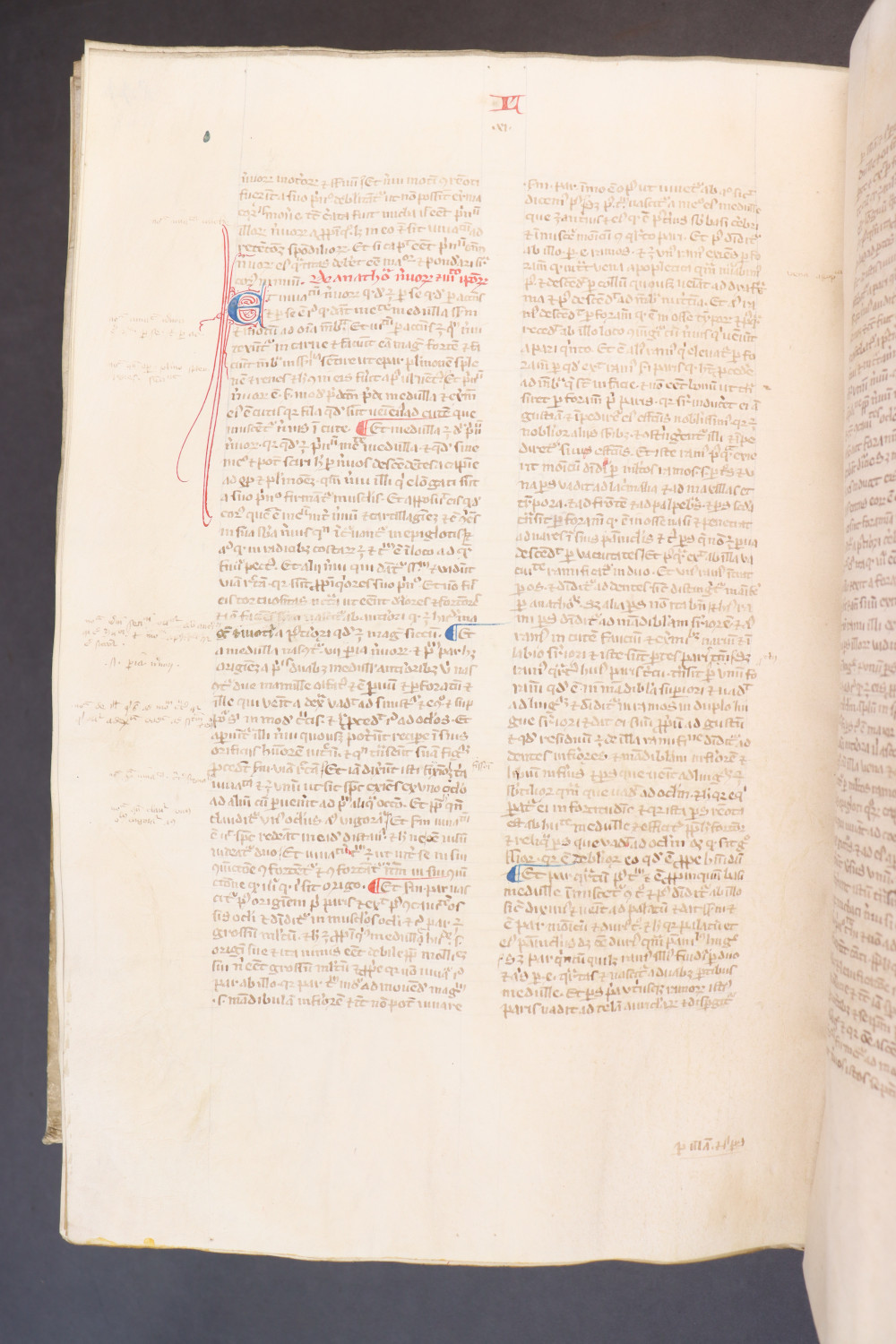 Folio 248  verso