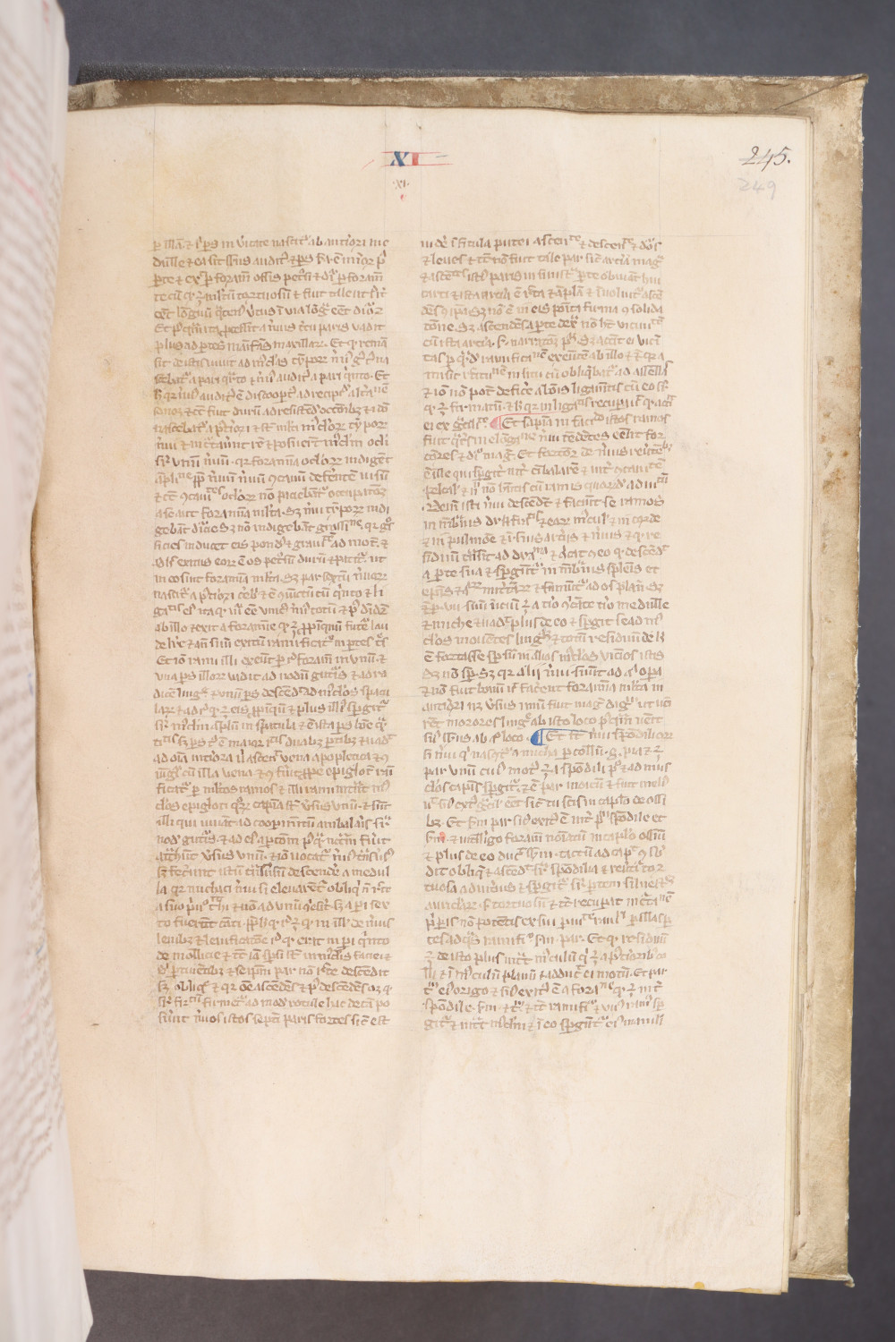 Folio 249  recto