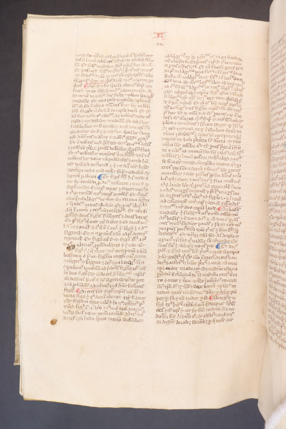 Folio 250  verso