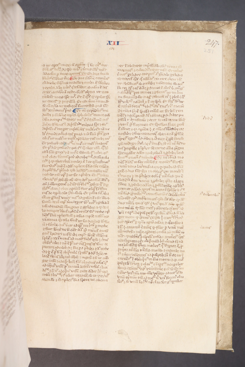 Folio 251  recto