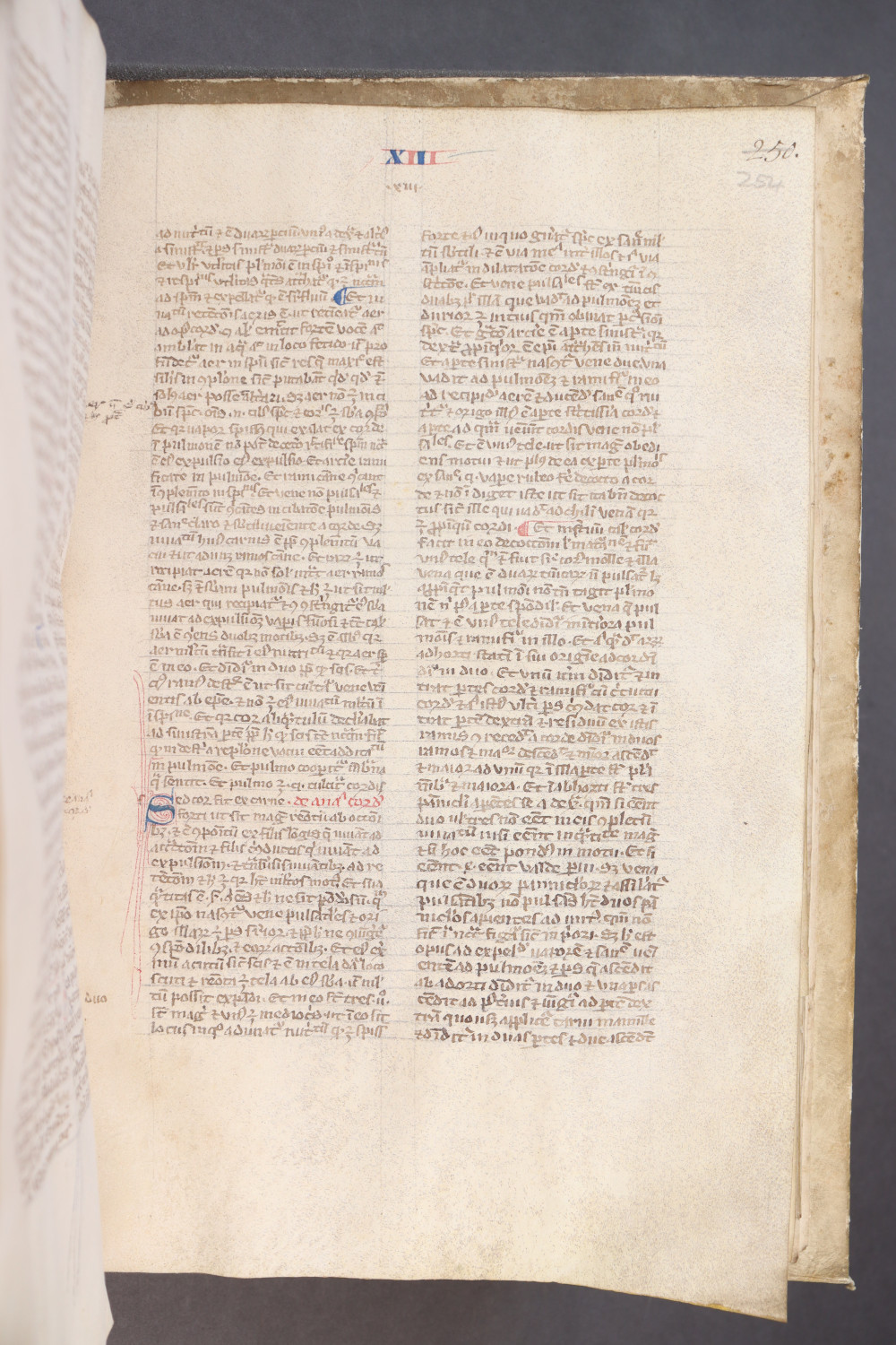 Folio 254  recto