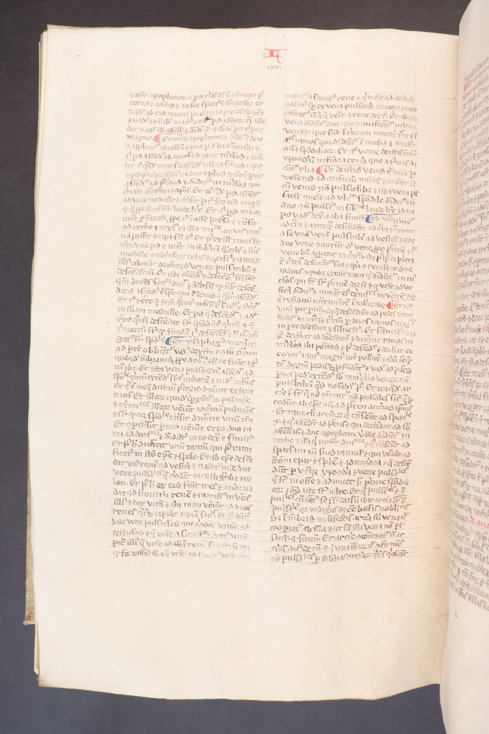 Folio 254  verso