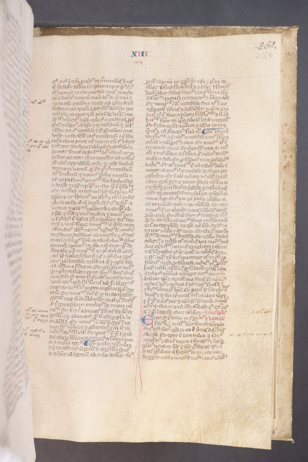 Folio 256  recto