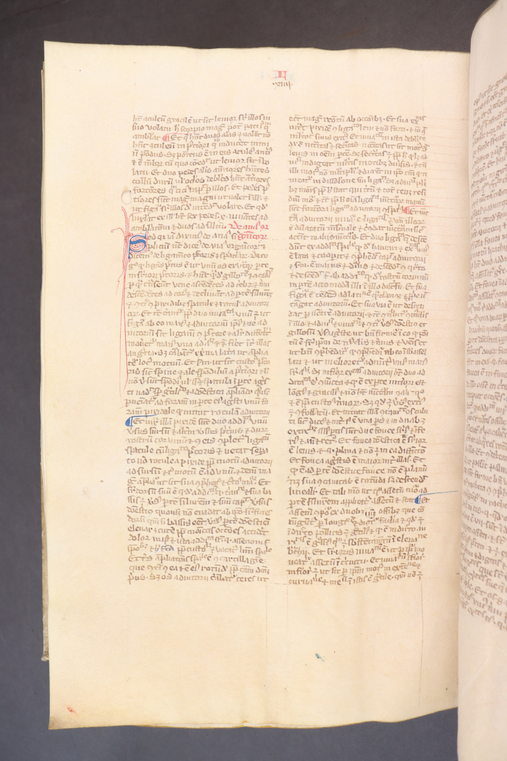 Folio 259  verso