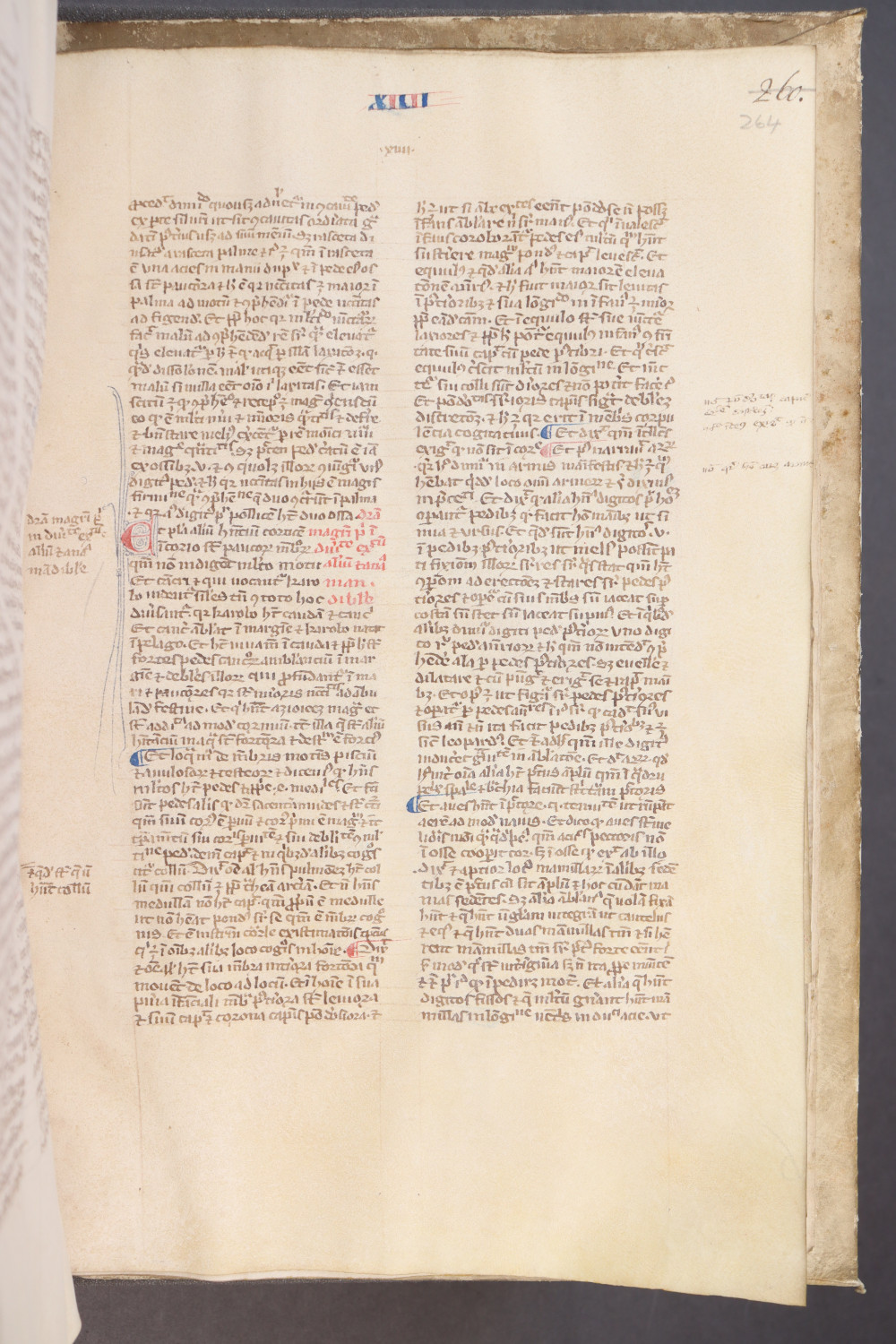 Folio 264  recto
