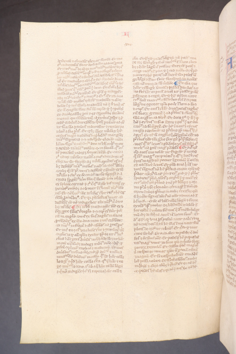 Folio 265  verso
